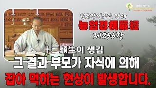 각성스님 강해_능엄경 제256강 / 그 결과 부모가 자식에 의해 잡아 먹히는 현상이 발생합니다,