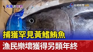 捕獲罕見黃鰭鮪魚 漁民樂壞獲得另類年終