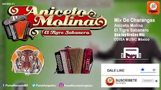 Mix De Charangas - Aniceto Molina