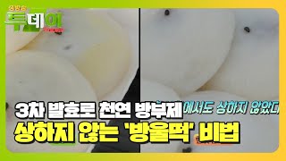 극한 더위 속, 상하지 않는 방울떡 비법 대공개!ㅣ생방송 투데이(Live Today)ㅣSBS Story