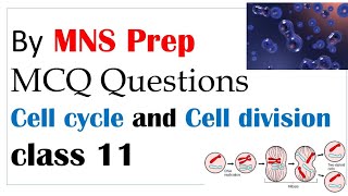 Cell cycle and cell division | Mcq questions | Part 1