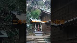 三崎諸磯神明社#パワースポット#伝説#神社#三崎#小桜姫