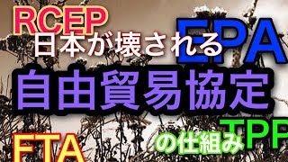 日本を破壊する自由貿易協定の仕組みーFTA・EPA・TPP・RCEP－