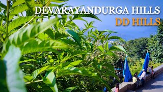 Ride to Devarayan Durga Hills | DD Hills | Must Visit Places near Bengaluru