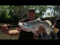 😱 beaten tracks and setbacks epic 4wding u0026 fishing in cape york 🔥