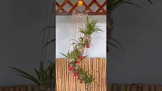 ការកែច្នៃរបស់លើកទី430 Recycling #shortvideo #processing #stuff #cut #decoration #plantpot #flower