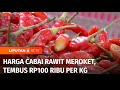 Harga Cabai Rawit Merah Tembus Rp100 Ribu per Kg | Liputan 6