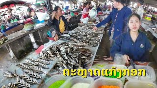 Savannakhet ປານ້ຳເຊຈຳພອນ ຕະຫຼາດແກ້ງກອກ || ตลาดแก้งกอก สะหวันนะเขต ปลาน้ำเชจำพอนเต็มตลาด