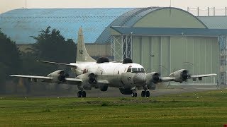 海上自衛隊 UP-3D (#9162) - 厚木基地 2018年4月23日