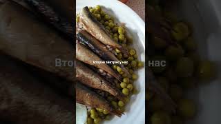 Второй завтрак у нас (Our lunch) #buckwheat #breadmachine #recipe #cooking #cookingvideo #shorts