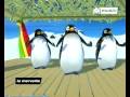 Pigloo Le Ragga Des Pingouins