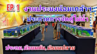 จัดตู้ไม้น้ำในงานประมงน้อมเกล้า ครั้งที่33 ผลงานนักเรียนที่ชนะเลิศ #NCO544