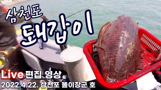 [갑오징어낚시]삼천포 돼갑이 - 2022.4.22. 삼천포 갑오징어 선상낚시