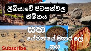 ලිබියාවේ පිටසක්වල නිම්නය සහ යේමනයේ මකර ලේ ගස | සොබාදහමේ ඇදහිය නොහැකි අරුමපුදුම දේ