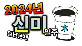 2024년 신미일주