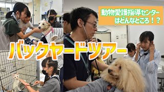 動物愛護指導センターはどんなところ！？～人と動物の共生を目指して～