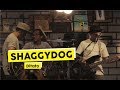 Shaggydog - Ditato (Live at THE BIG START BLIBLI.COM)