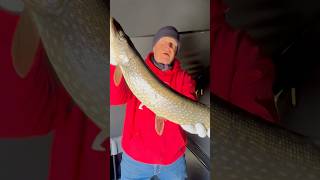 Beautiful Clear Lake Alberta Northern Pike!