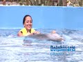 swim with dolphins in riviera maya at dolphinaris