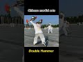 chinese martial arts double hammer