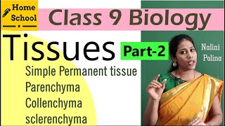 Tissues class 9 Biology Part-2