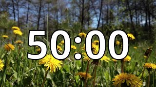 50 Minutes Timer with Music | Spring Timer