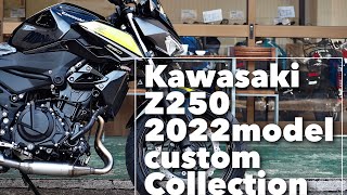 Kawasaki Z250【2022モデル】純正ETC2.0 スマホフォルダー USB 付けておきたい定番アイテム紹介\u0026シート高チェック