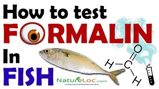 How To Test Formalin In Fish | Formalin Test NatureLoC Youtube Video