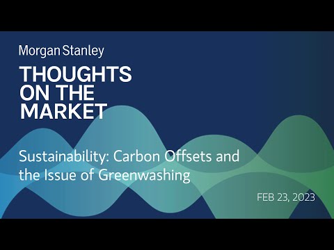 Morgan Stanley How Does Sustainability Impact Investing