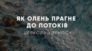 Як олень прагне до потоків