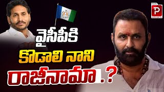 వైసీపీ కి కొడాలి నాని రాజీనామా .? | Ex Minister Kodali Nani Resign YCP..? | Telugu Popular TV