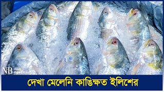 সরবরাহ বেড়েছে ইলিশের, দাম কমেছে | Hilsha Fish | Chandpur