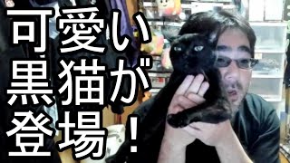 【よっさん】可愛い黒猫の黒之が登場！ 2023/04/24