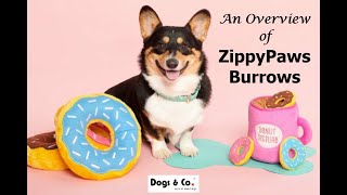 Dogs \u0026 Co - An Introduction to Zippypaws Burrow Dog Toys