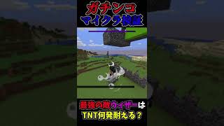 【マイクラ検証】マイクラ最強の敵ウィザーはTNT何発耐えられる？