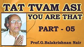 Tathwamasi - part 5 by Brahmashree Prof Balakrishnan Nair