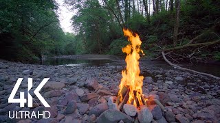 8 HOUR Crackling Campfire by the River - 4K Nature Soundscape with Birds Signing - Part #1