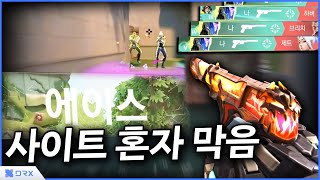 로터스 솔랭은 케이오가 좋은 이유