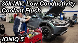 Ioniq 5 Low Conductivity Coolant Flush Procedure & Pricing