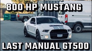 IF YOU LIKE MUSTANGS WATCH THIS ! SHELBY GT500 EDTION-800 HP MONSTER !!!!