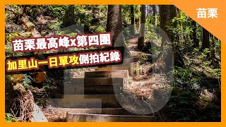 苗栗加里山一日單攻 ｜登山新手經典路線