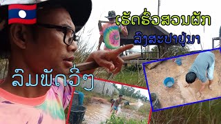 ทำรั้วสวนผักลงหาปลาอยู่นาลมพัดวี่ๆ|ເຮັດຮົ່ວສວນຜັກລົງສະປາຢູ່ນາລົມພັດວີ່ໆ