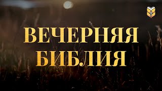 Вечерняя Библия. Современный перевод Библии #biblevision