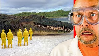 The Strangest Extinct Creatures Caught on Camera!