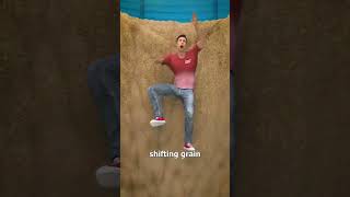 Escaping A Grain Bin 😰