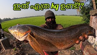 ഇത് എത്ര kg ഉണ്ട്?? | FISHINGVLOG | #reallife #realfishing