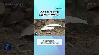 산사태 낙석에 깔려 죽을 뻔 했는데도 피해 보상은 안 된다는 정읍시? | 자막뉴스