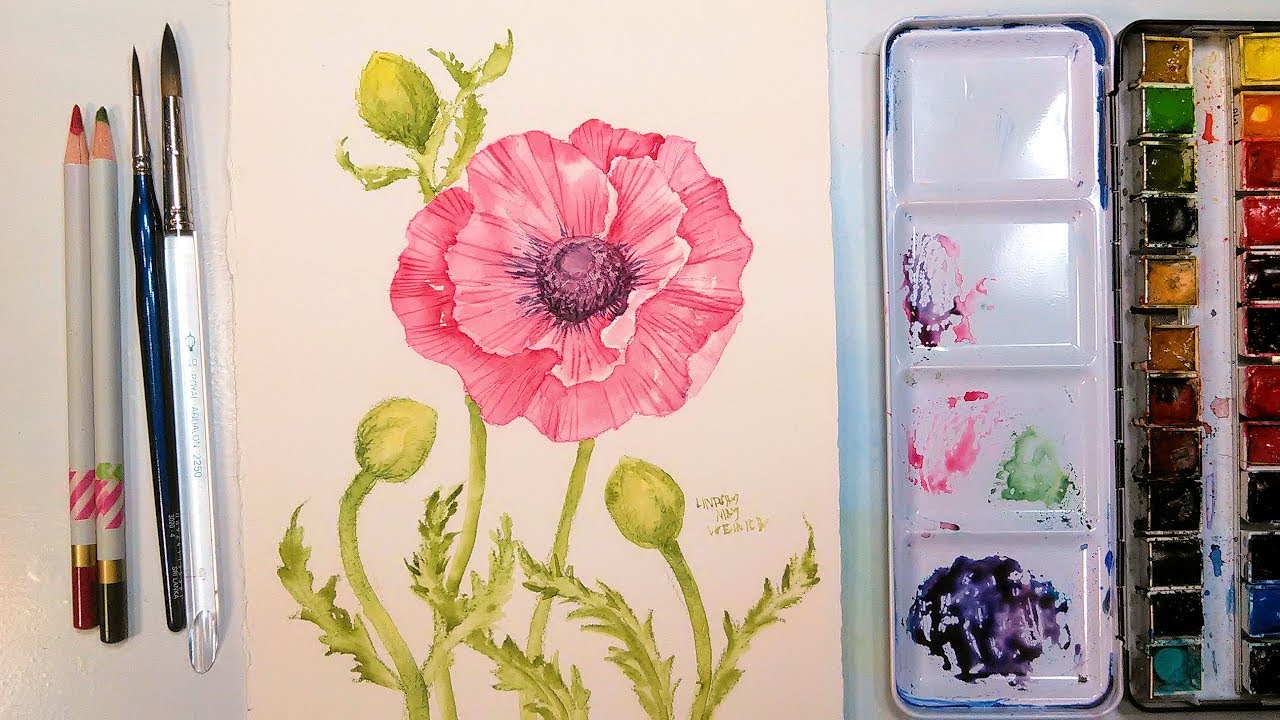 Poppy Watercolor Tutorial