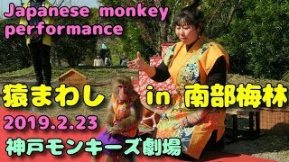 猿回し in 南部梅林　神戸モンキーズ劇場 Japanese monkey performance 2019.2.23