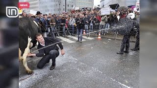 Protestat më të çuditshme. Nga puthjet për arsimin, tek burrat me të brendshme pink | IN TV Albania